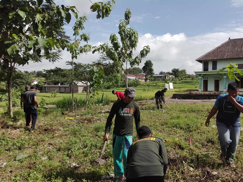 BAKTI SOSIAL DAN PENGHIJAUAN PAC GP ANSOR LEMBEYAN
