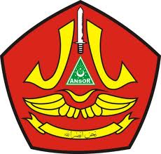 Peraturan Organisasi Banser