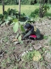 Bakti Sosial PAC GP Ansor Lembeyan